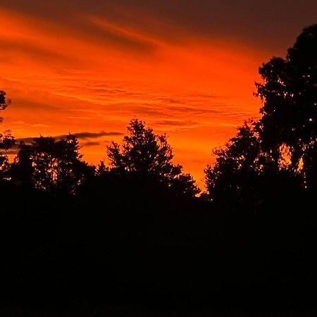 פוקס גלאסייר Sunset Motel מראה חיצוני תמונה